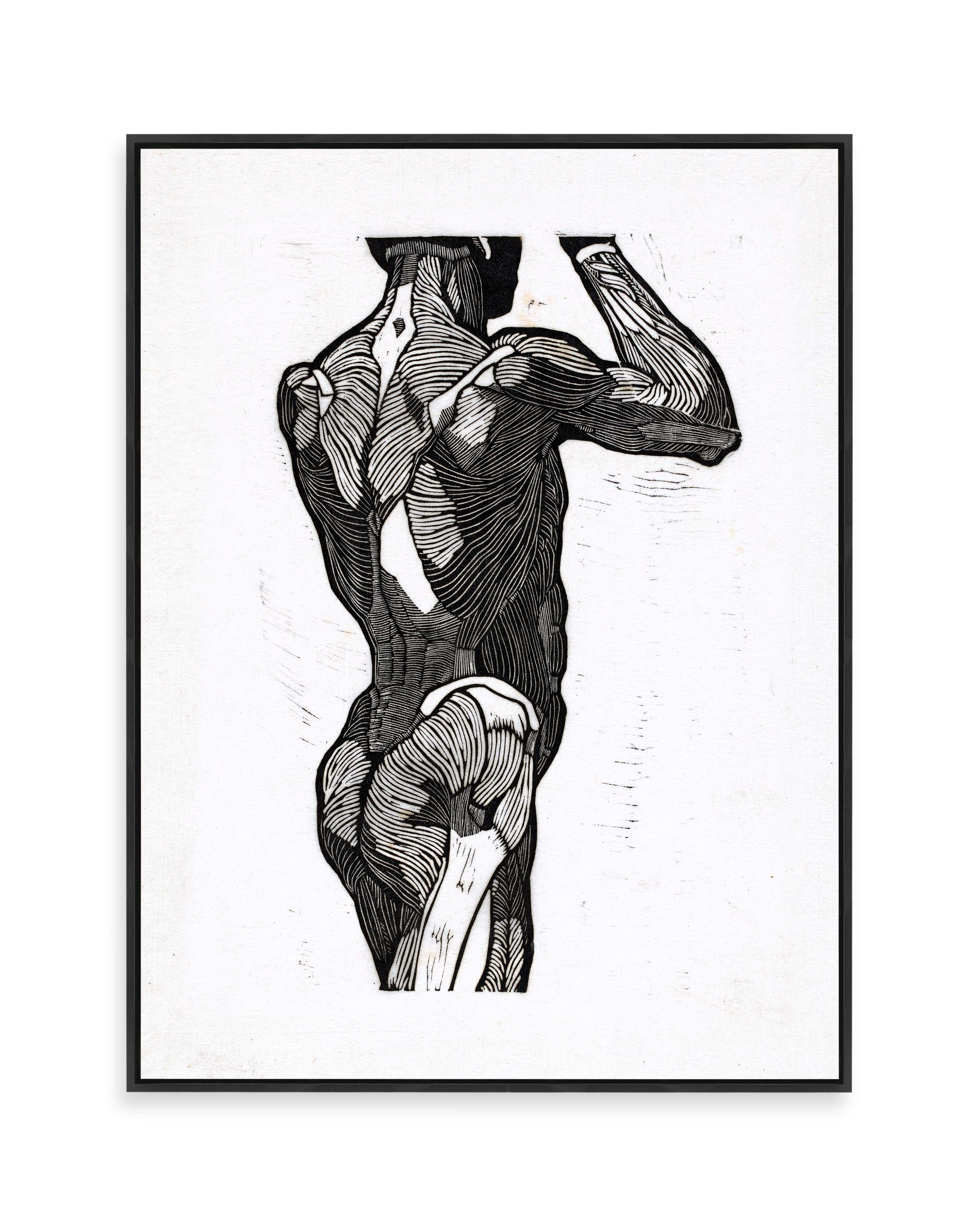 Anatomische Studie III (1906)